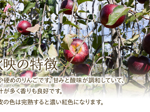 ≪来年度予約受付中≫信州のりんご!珍しい濃い赤色!【秋映】約3kg
