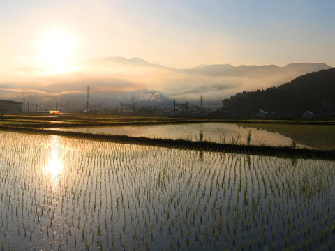 【R7年新米予約】お米日本一コンテスト最高金賞受賞/精米10kg南魚沼産コシヒカリ/まつえんどんのお米