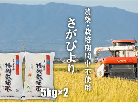 超希少‼『農薬・化学肥料不使用』佐賀県産さがびより白米5kg【R4年産】もっちりつやつや特別栽培米‼