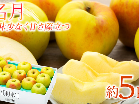 ≪2026年度予約受付中≫信州のりんご【名月】約5kg