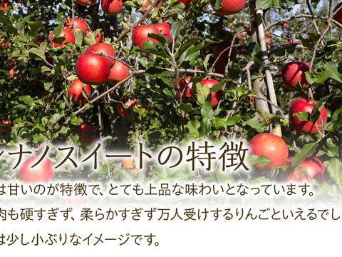 ≪収穫中≫信州のりんご【シナノスイート】約5kg