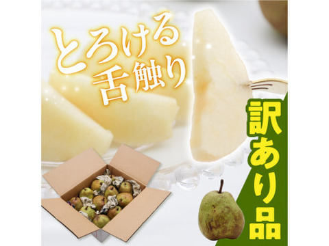 ●訳あり●　山形県産　洋梨　ラ・フランス　2kg (6～12玉)