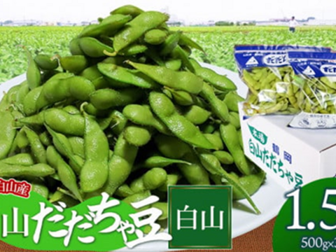 令和８年８月下旬発送❗本場白山産　だだちゃ豆(白山)1.5㎏