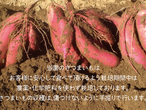 焼芋ラテの素２００ｇと焼芋ジャム２００ｇの詰め合わせ、農薬・化学肥料不使用、６ケ月以上地下室で寝かせて熟成させた大分県産甘藷を使用。