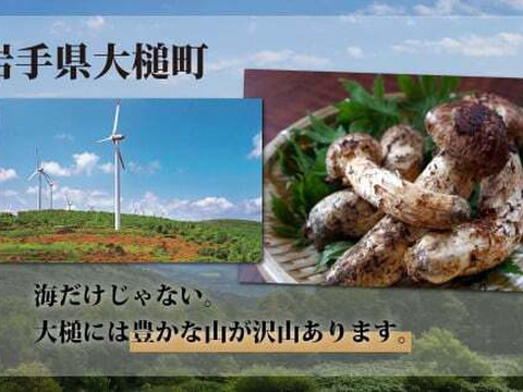 秋の味覚！松茸ミックスサイズ200g　岩手県産　天然