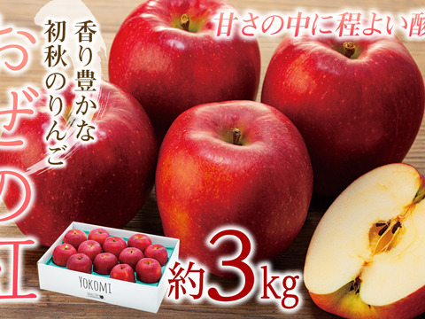 ≪2024年先行受付≫　信州のりんご【おぜの紅】約3kg
