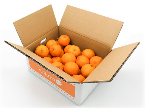 ※今季販売終了※カラマンダリン〈優品〉約３kg　※発送時期は4月中旬～5月中旬頃となります。