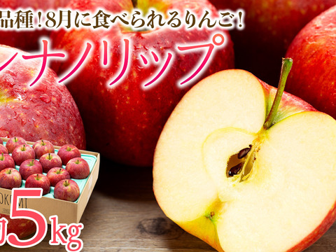 ≪2026年度予約受付中≫　新品種！夏りんご【シナノリップ】５㎏