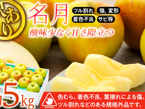 ≪2026年度予約受付中≫信州のりんご【名月】訳あり約5kg