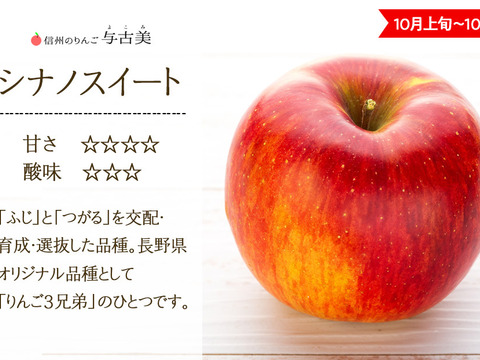 ≪収穫中≫信州のりんご【シナノスイート】訳あり約5kg