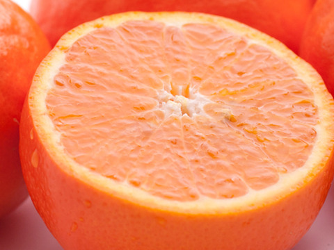 甘酸っぱジューシー！セミノールオレンジ3kg【わけあり】　※配送不可地域あり