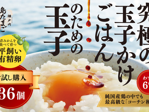 ＼瀬戸内の離島から／【太陽の恵みが詰まった！こだわりのコーチン種】 平飼い有精卵✨６個入り6パック  黄身も白身も、驚くほど力強い！玉子かけご飯にも✨