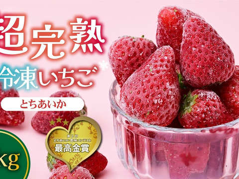 完熟冷凍いちご「とちあいか」500g×2袋＼鮮度そのまま・ヘタ付き／（ご