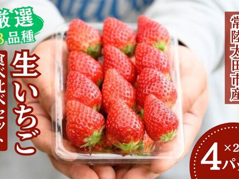 【食べ比べ】茨城県産いちご ４パック×１箱【いばらキッス・ひたち姫・やよいひめ】