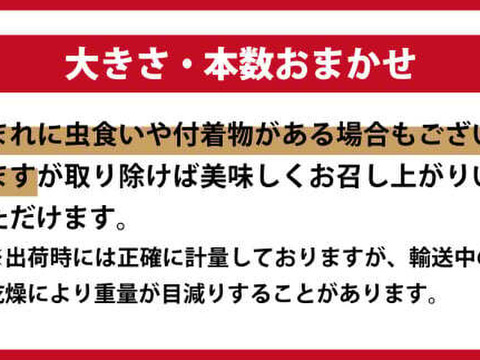秋の味覚！松茸ミックスサイズ200g　岩手県産　天然
