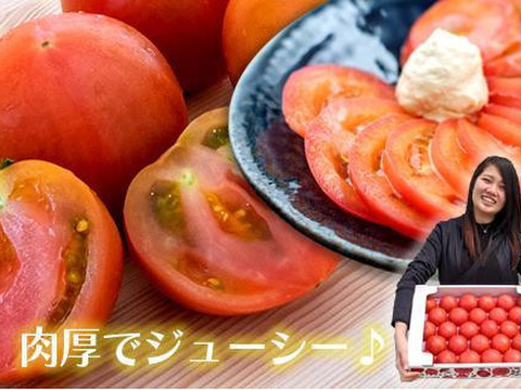 【南国高知直送】とってもジューシー大玉トマト！4㎏箱