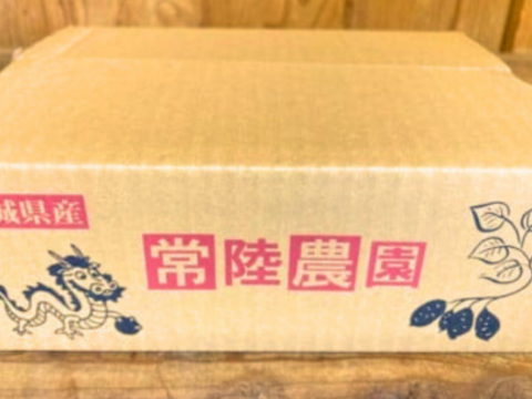 熟成　壺焼き芋　2kg　 べにはるか　さつまいも　やきいも