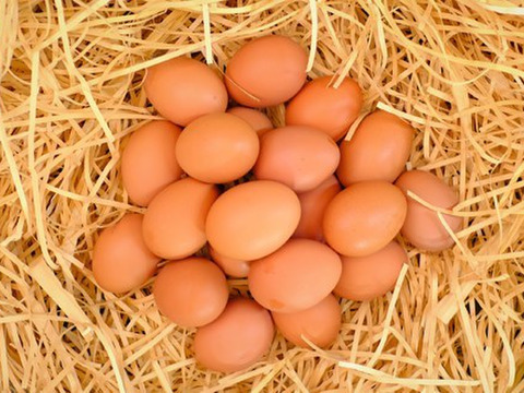 27個【鮮度抜群！！絶妙なコク＆うまさ！】　『体の内側からもっと美しく健康に！毎朝採れたて新鮮卵（ミネラルエッグ）』27個（※破卵保証3個入）