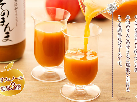 ≪SALE≫「高級梨（南水）・無添加りんごそのまんま」100％ジュース2種セット 計6本(りんご・梨×各3本)
