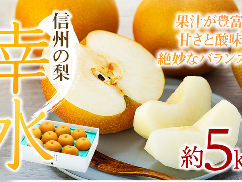 《残りわずか》信州の梨【幸水】約5kg　シャリっとしてみずみずしい梨