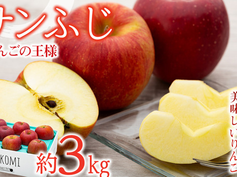 ≪予約受付中≫信州のりんご【サンふじ】約3kg