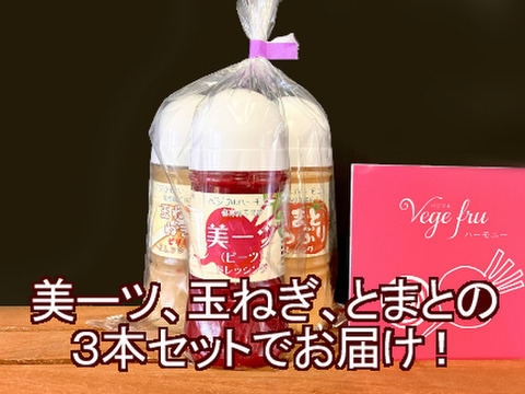 【保存料不使用】手作りドレッシング3本セット