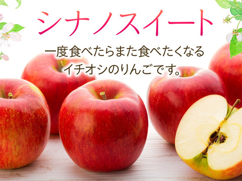 ≪収穫中≫信州のりんご【シナノスイート】訳あり約10kg