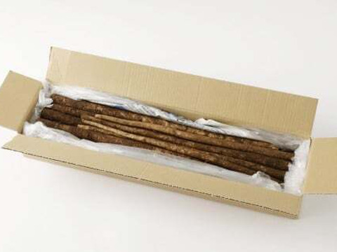 色白綺麗⭐︎香り絶品！2キロ　鹿児島県産　土付きごぼう