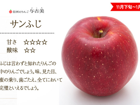 ≪予約受付中≫信州のりんご【サンふじ】約5kg