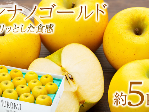 ≪予約受付中≫信州のりんご【シナノゴールド】約5kg