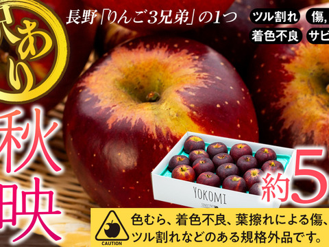 ≪来年度予約受付中≫信州のりんご!珍しい濃い赤色!【秋映】訳あり　約5kg