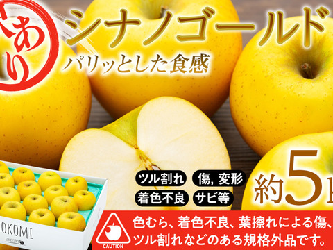 ≪予約受付中≫信州のりんご【シナノゴールド】訳あり　約5kg