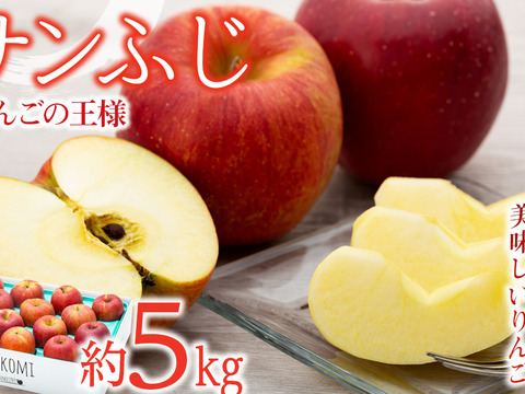 ≪予約受付中≫信州のりんご【サンふじ】約5kg