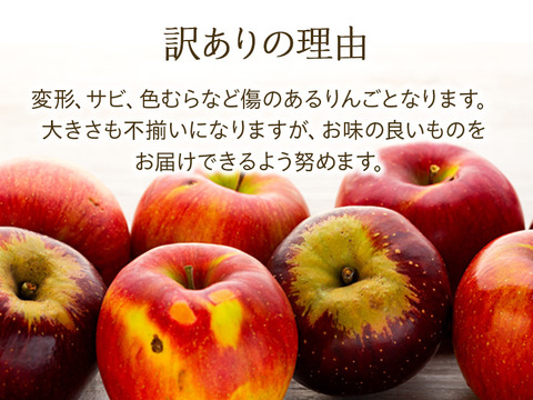 ≪2026年度予約受付中≫信州のりんご【名月】訳あり約5kg