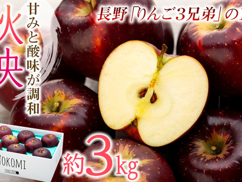 ≪来年度予約受付中≫信州のりんご!珍しい濃い赤色!【秋映】約3kg