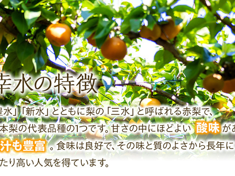 《残りわずか》信州の梨【幸水】約5kg　シャリっとしてみずみずしい梨