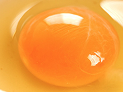 【昔ながらの健康食品】くりのみの卵油（1本）