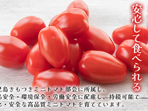 リコピン2倍！高糖度！【シュガープラム】0.7K