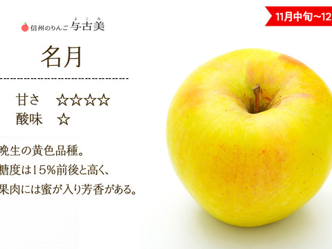 ≪2026年度予約受付中≫信州のりんご【名月】訳あり約5kg