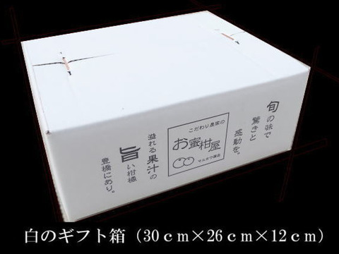 【厳選小粒３ｋｇ】薄皮！濃厚！甘～い！二段熟成の完熟みかん「熟成味柑」　小玉サイズ　秀品　３ｋｇ【169】