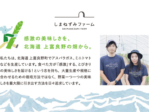 【北海道 上富良野産】春が旬!の極太グリーンアスパラガス 3L 400g【春芽】✨通販サイト年間3000件以上販売👑✨しまねずみファームのフラノラルム【ギフトにもおすすめ！】