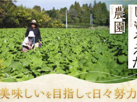 色白綺麗⭐︎香り絶品！4キロ　鹿児島県産　土付きごぼう