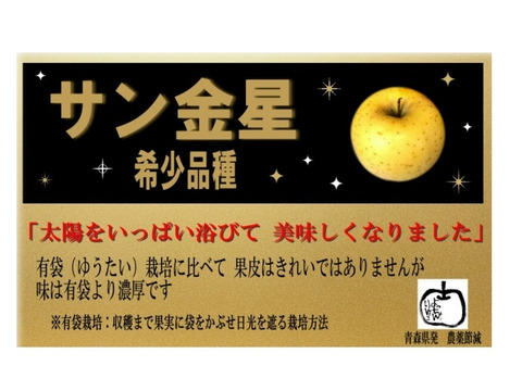 「希少!サン金星!! 」家庭用約2.7Kg青森県産 数量限定　金星　きんせい　りんご