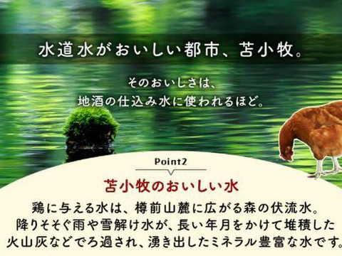 平飼いたまご 24個（6個×4パック）