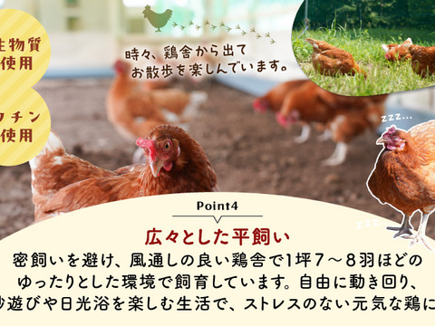 訳あり平飼い卵30個(たまごトレー)