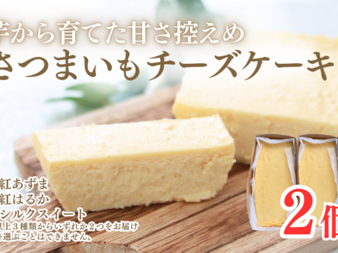 カリッと マスとばバジャーキー100g３袋と さつまいも チーズケーキ 2種類 と 柔らか 干し柿 2パック セット