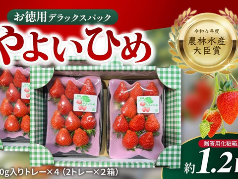 令和4年度 農林水産大臣賞受賞！お徳用いちご「やよいひめ」デラックスパック（約1.2 kg）