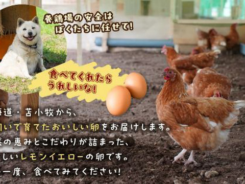 平飼いたまご 24個（6個×4パック）