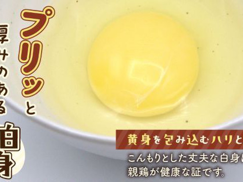 平飼いたまご 24個（6個×4パック）