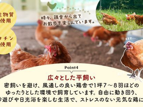 平飼いたまご 24個（6個×4パック）